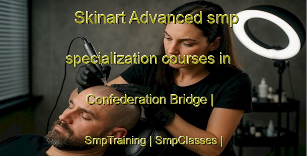Skinart Advanced smp specialization courses in Confederation Bridge | SmpTraining | SmpClasses | SkinartTraining-Canada